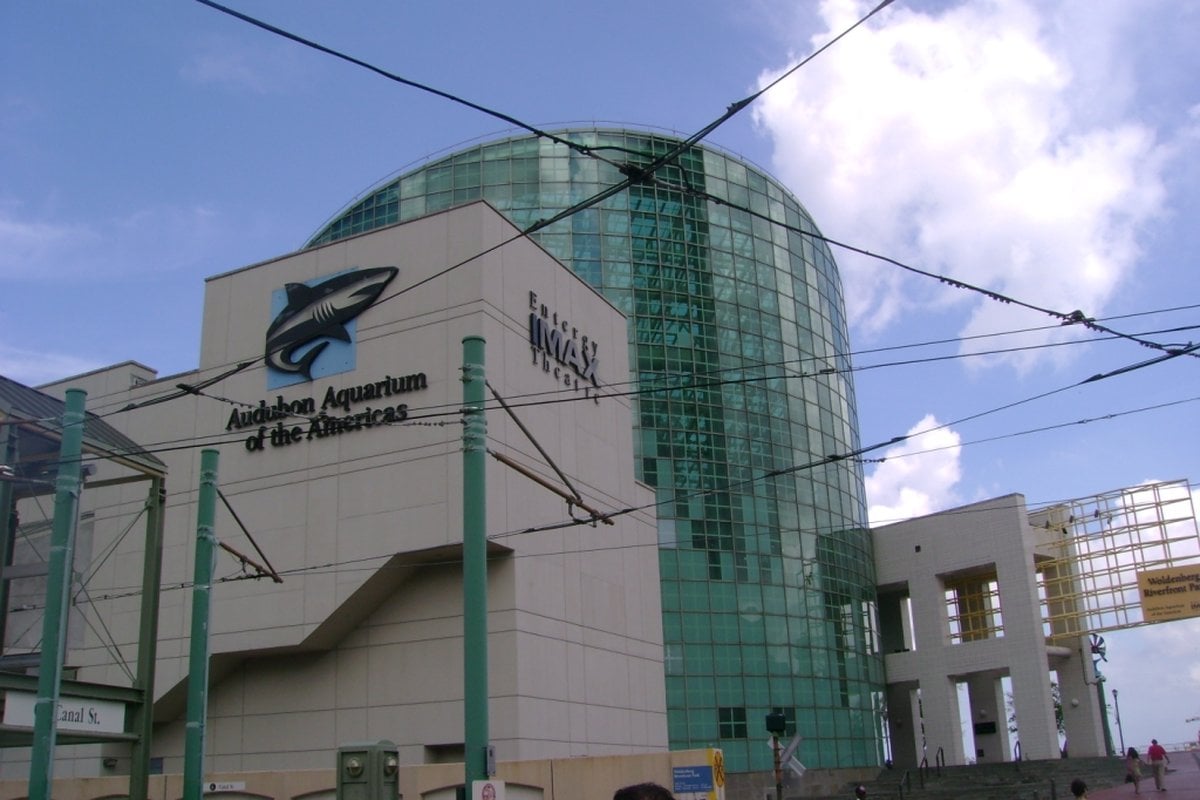 Audubon Aquarium - Gallery Image 2
